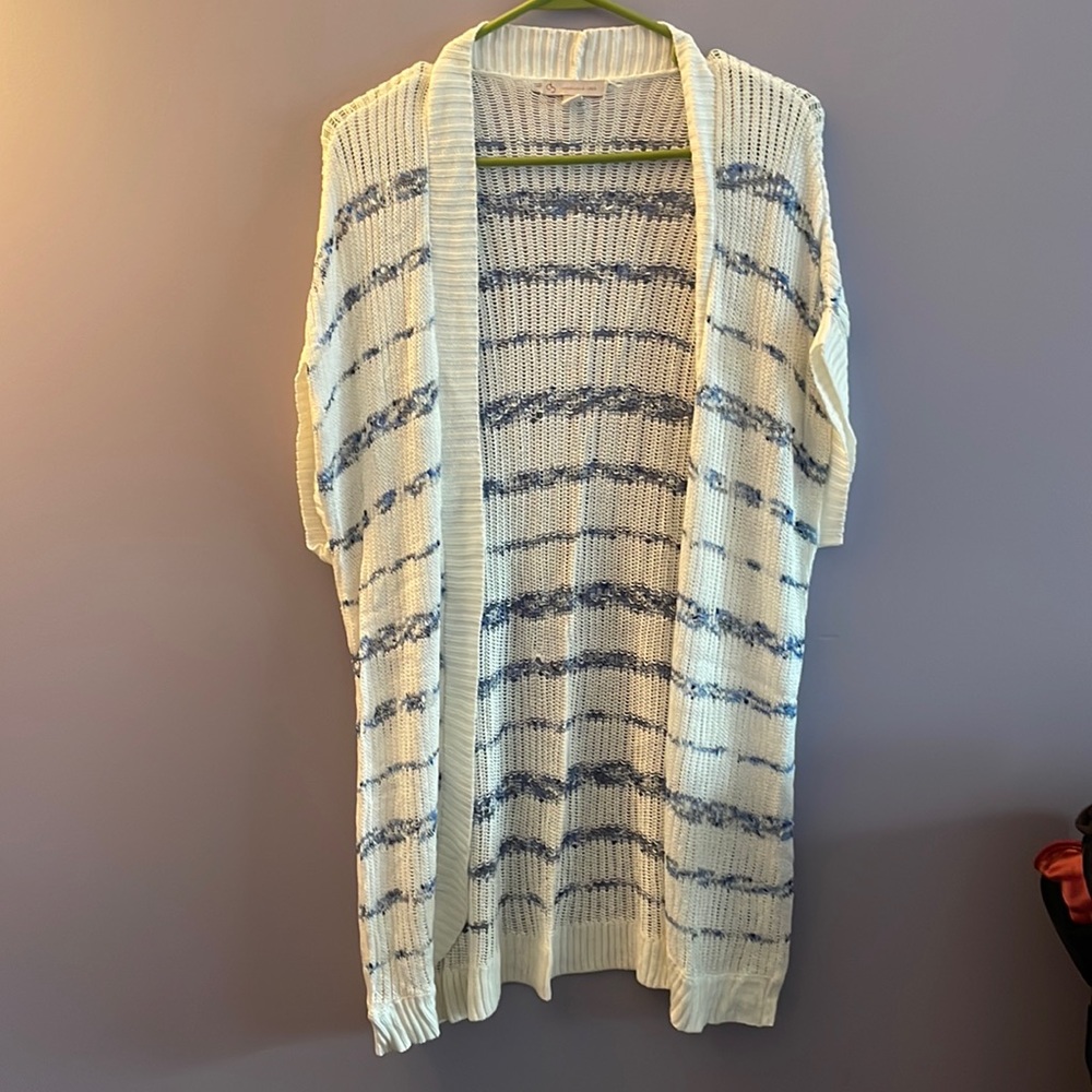 Blue and white cardigan